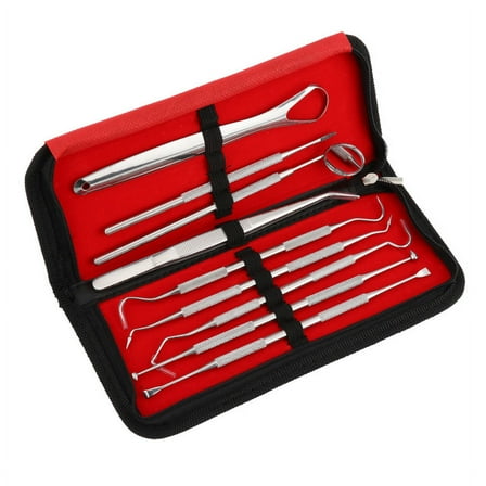Dental care tools 9 pieces with case