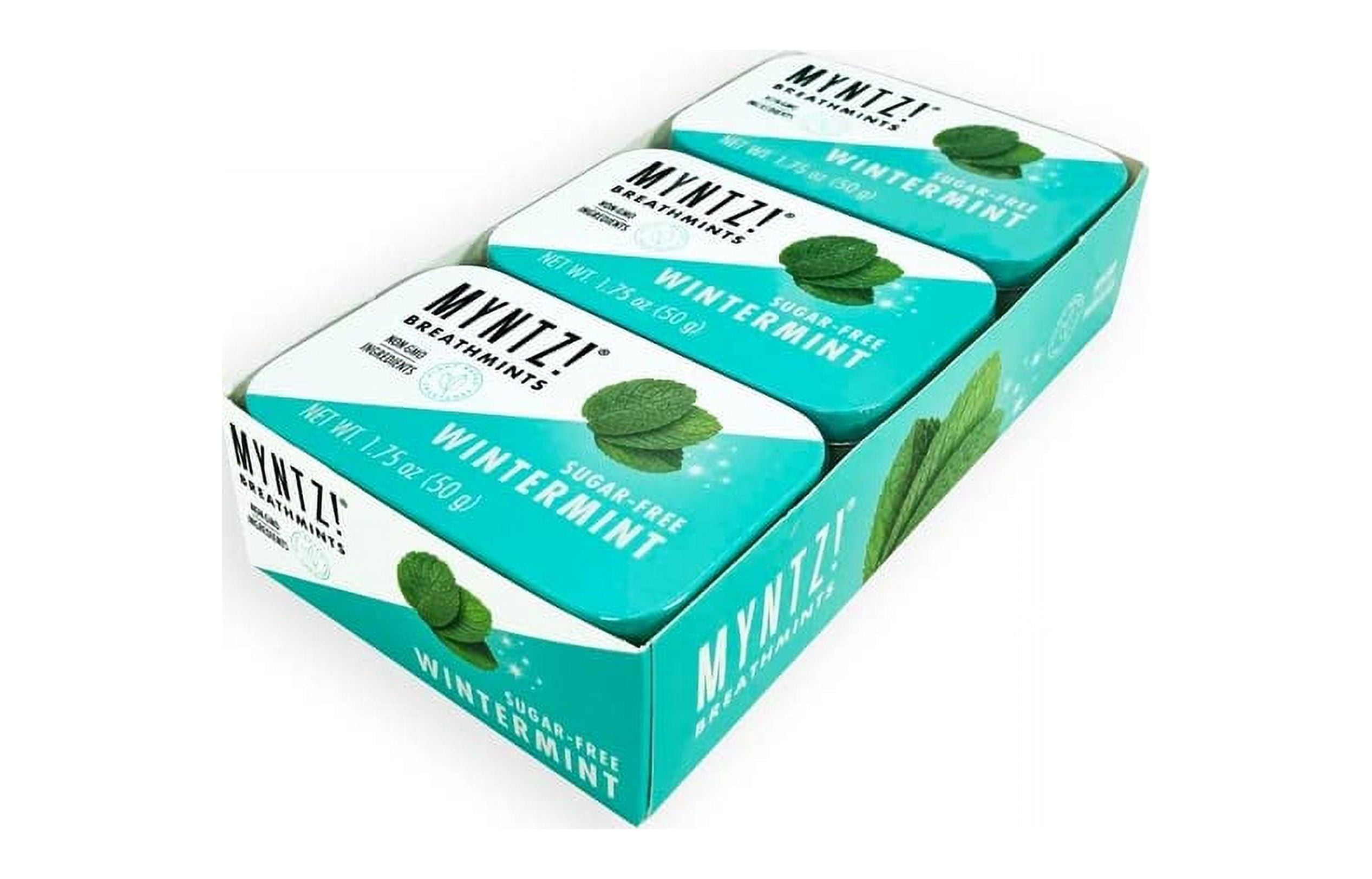 Mint様おまとめ購入ページ Dentist Recommended MYNTZ! Brand Mints - Wintermynt Blast Flavor 6