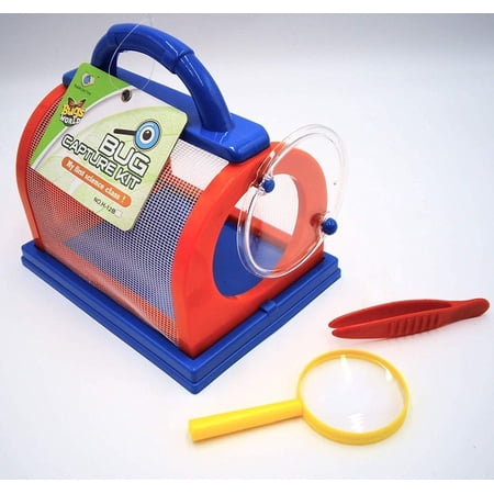 Dentt Insects and Bugs Critter Cage with Catching Tools Set