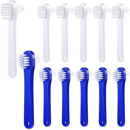 Denture Brush Dual Head Toothbrushes Hard Denture Cleaning Brush Denture Toothbrush Cleaning Brush False Teeth Brush Toothbrush for False Teeth Cleaning, 2 Colors (6 Pieces)