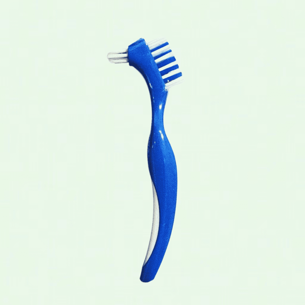 Denture Brush Hard Double Bristle for False Teeth Brush (Blue)