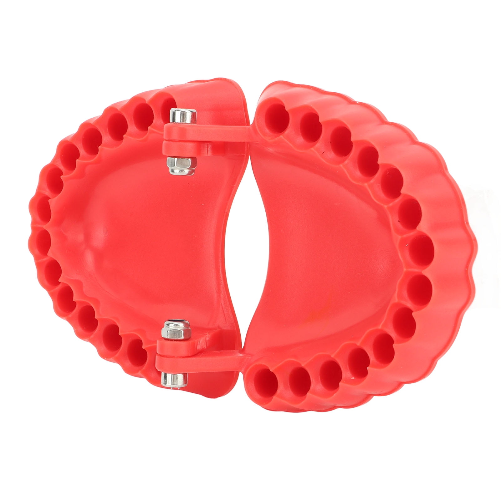 Denture Drill Bit Holder Denture Screwdriver 3D Sculpture Desk Decor 28