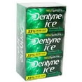 thumbnail image 1 of Dentyne Ice Gum Spearmint 16 Pcs Each ( 9 In A Pack ), 1 of 1
