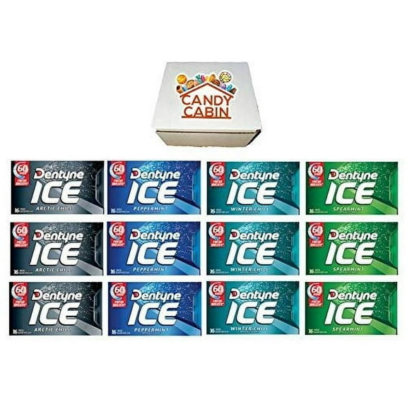 Dentyne Ice Sugar Free Gum, Variety Pack , 12 Packs of 16 Pieces By CANDY CABIN ARCTIC CHILL-PEPPERMINT-WINTER CHILL-SPEARMINT