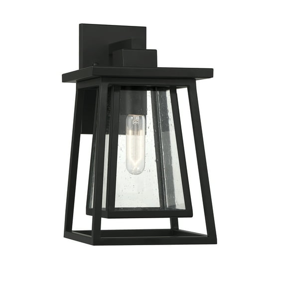 Denver 1-Light Outdoor Wall Lantern in Matte Black