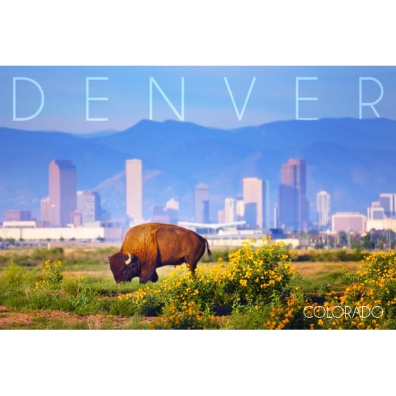 Denver, Colorado, Buffalo and Skyline (24x36 Giclee Gallery Art Print, Vivid Textured Wall Decor)