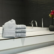 Linum Home Textiles 100 Turkish Cotton Denzi Hand Towels Set of 4 Light Grey