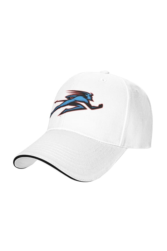 Depaul University Casual Sandwich Baseball Cap Adjustable For Men For Women