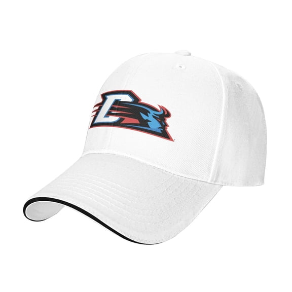 Depaul University Casual Sandwich Baseball Cap Adjustable For Men For Women