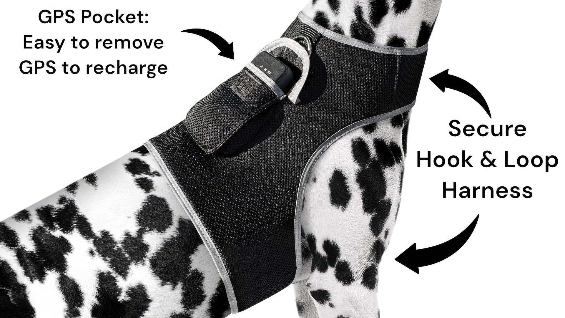 USB Rechargeable GPS GPRS GSM Waterproof Realtime Collar Pet Tracker Size:XS