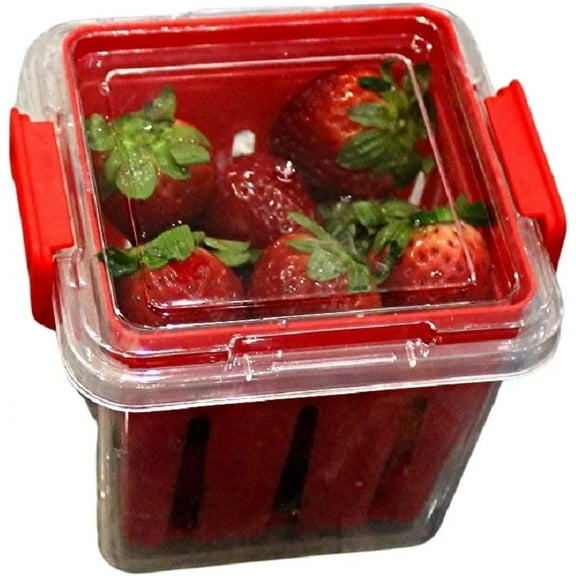 Dependable Industries Fruit and Vegetable Saver Storage Basket Strawberries Blueberries - Promotes Airflow and Prevents Spoilage Produce Storage Container with Lid BPA-FREE