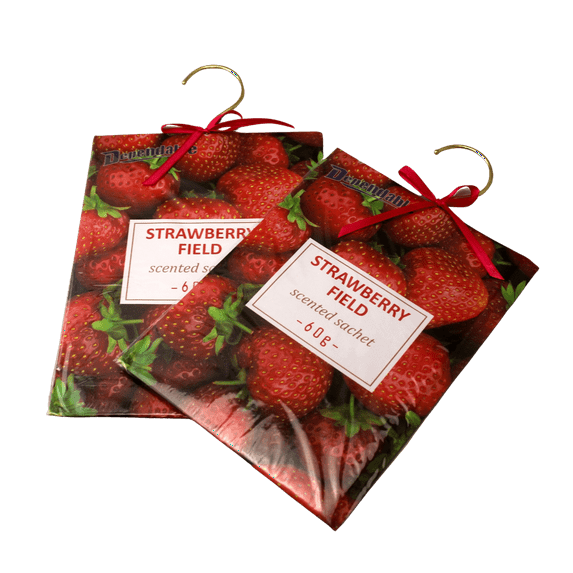 Dependable Industries Inc. Essentials 2 Pack Large Hanging Closet Sachet 9" x 6.75" with Metal Hanger and Bow Strawberry Fragrance
