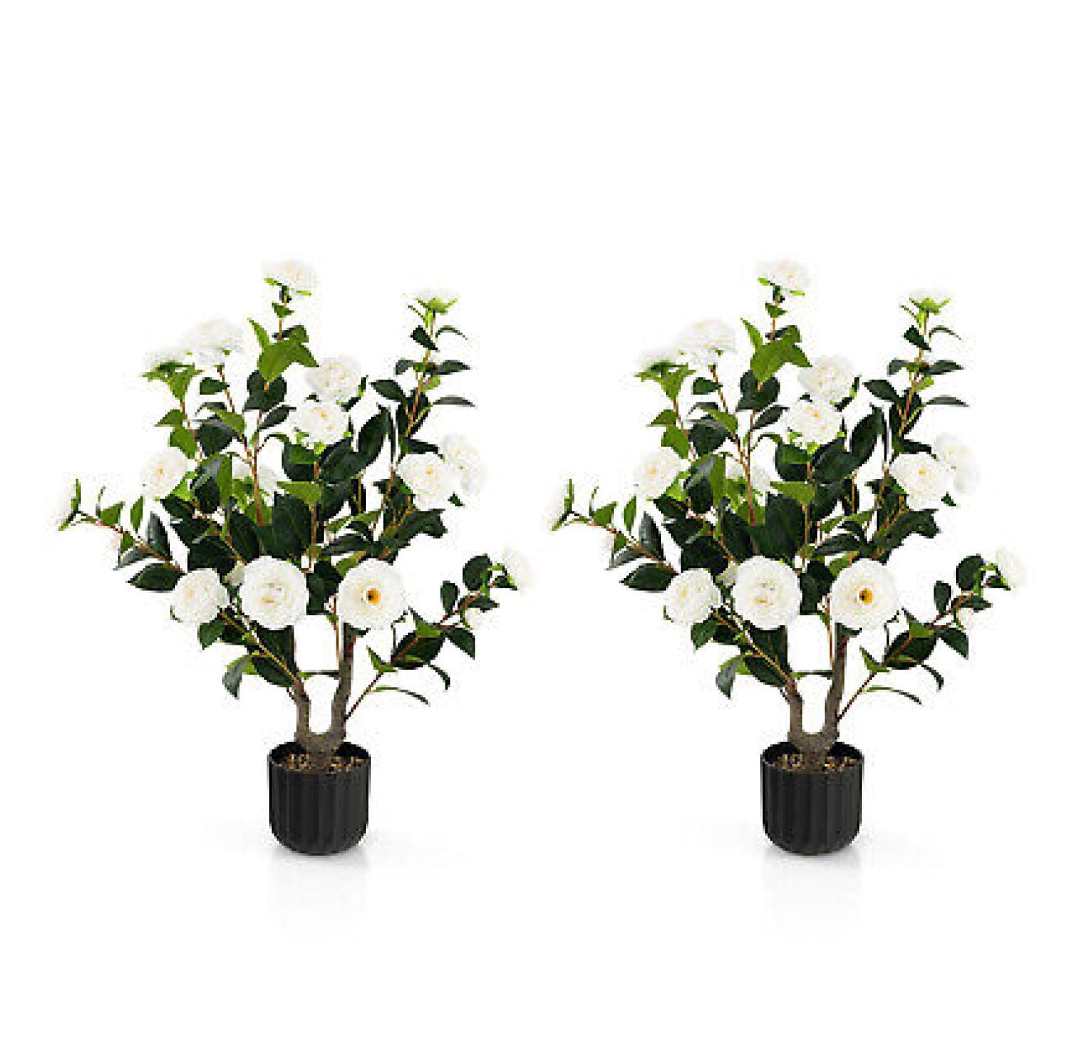 38'' White Silk Camellia Tree in Black Pot, 2-Pack