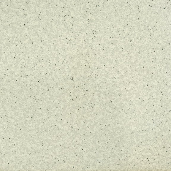 Depot Esh Sterling Gray Speckled Granite 12x12 Self Adhesive Vinyl Floor Tile - 20 Tiles/2