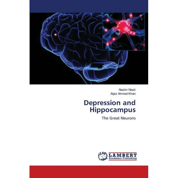 Depression and Hippocampus (Paperback)