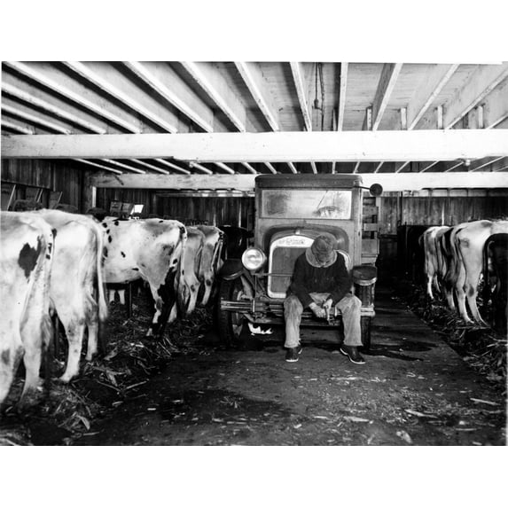 DepressionWisconsin Milk Strike-Thousands Of Dairy Farmers Are Withholding Their Product From The Market Until They Can Secure Better Prices. The Photo Shows A Dairyman On His Farm Whittling Away