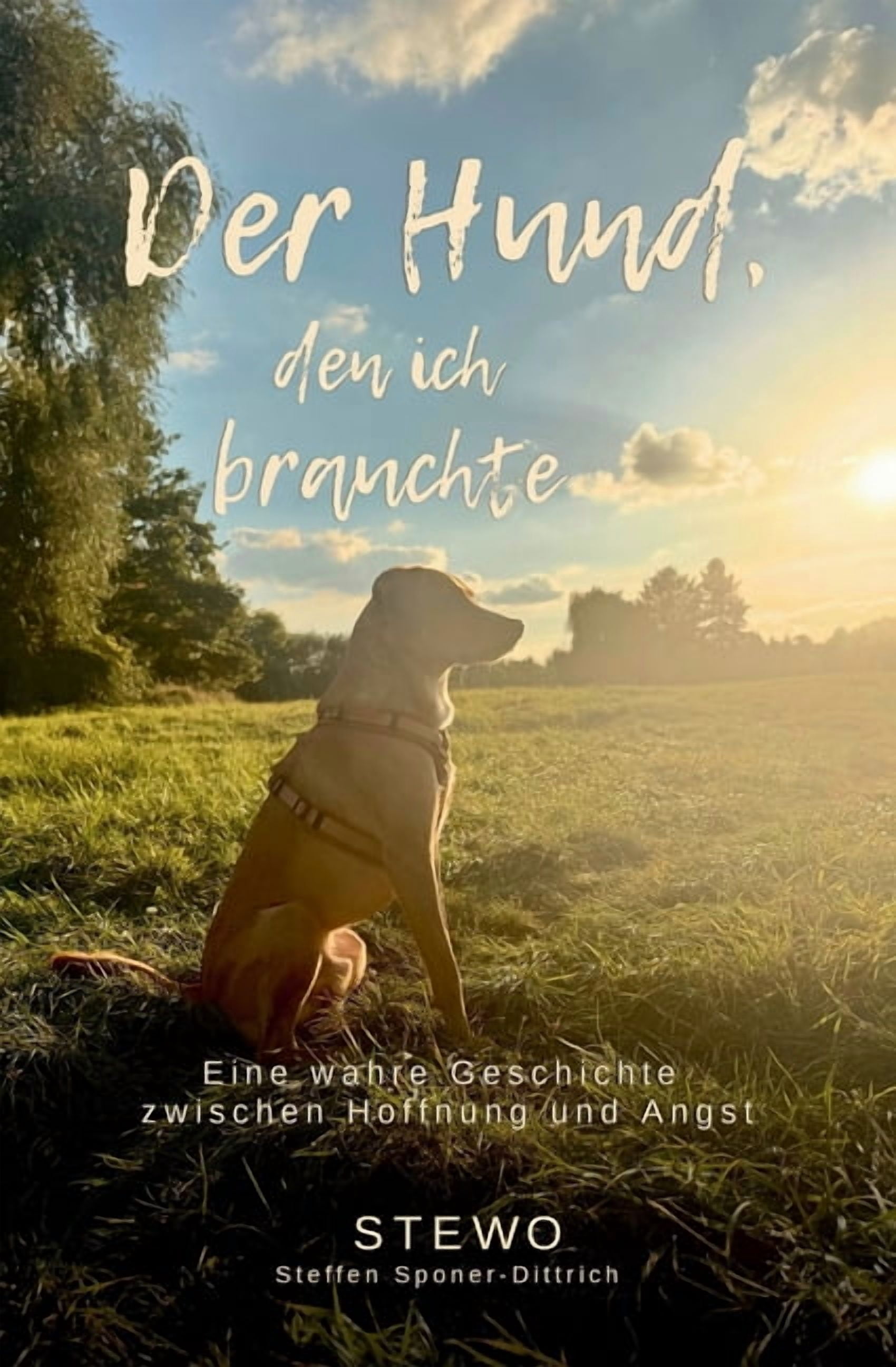 Der Hund, den ich brauchte: Teil 2 Eine wahre Geschichte zwischen Hoffnung und Angst, (Paperback)