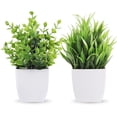 thumbnail image 1 of Der Rose 2-Pack Mini Artificial Potted Plants for Desk, Table, Home, Bathroom, or Office Decor., 1 of 9