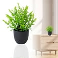 thumbnail image 1 of Der Rose Fake Plants, Artificial Potted Greenery for Home Decor, Small Tabletop Plant for Living Room, Office & Shelf, 1 of 9