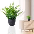 thumbnail image 1 of Der Rose Small Fake Plants in Black Pots, Bathroom Office Decor | No-watering artificial plants, gothic black pot style, for shelf desk office kitchen table and Halloween fall home decor, 1 of 9