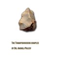 thumbnail image 1 of Der TommyknockersKomplex Andrej Poleev (Paperback), 1 of 1