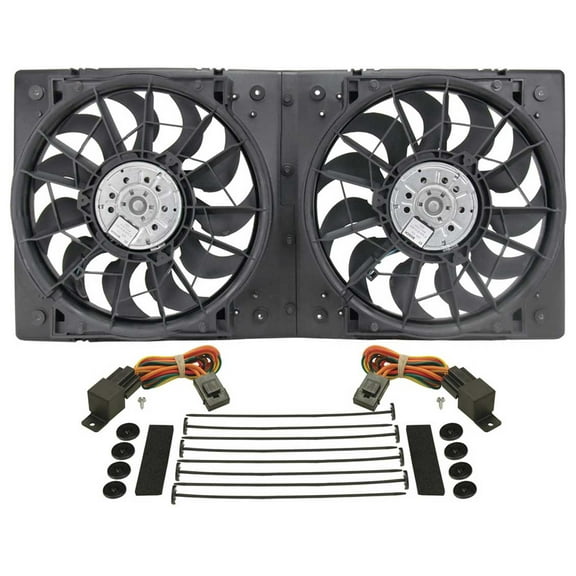 Derale Dual 13 in 4000 CFM HO RAD Electric Cooling Fan P/N 16928