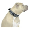 thumbnail image 1 of Derby Dog Designer Series USA Leather Padded Bully Dog Collar - 14", 1 of 6