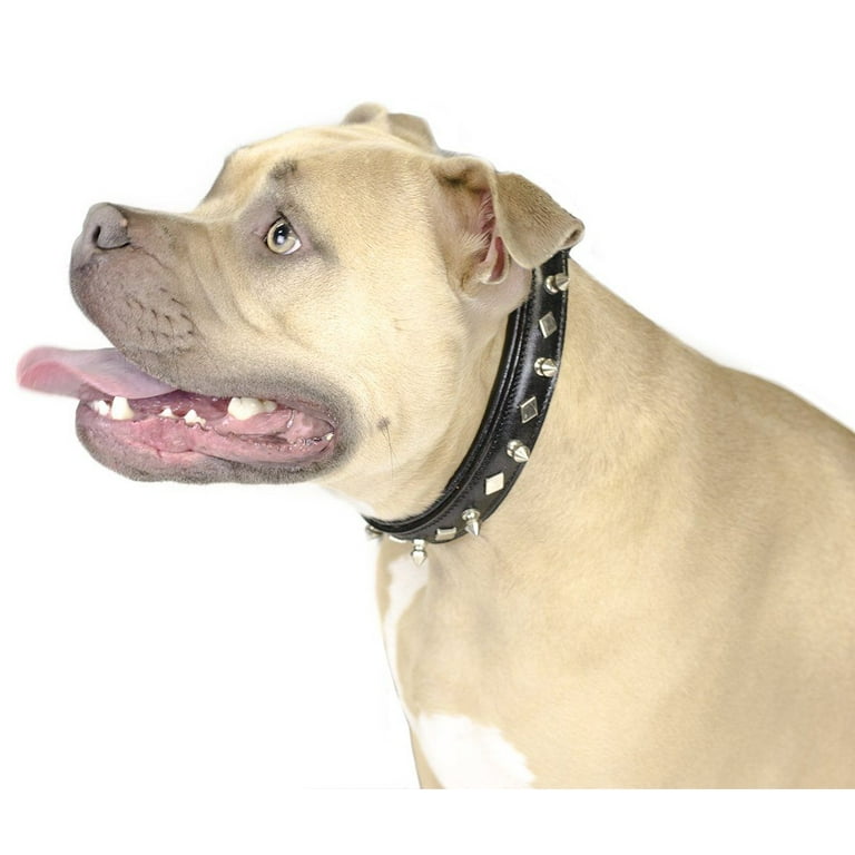 Derby Dog Designer Series USA Leather Spikes and Diamond Padded Dog Collar 8