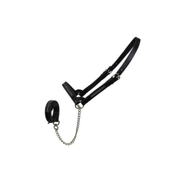 Derby Originals S Adjustable Leather Cattle Show Horse Halters, Black