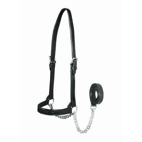 Derby New and Improved Premium Flat Fancy Stitch Leather Cattle Show Halter with Matching Chain Lead