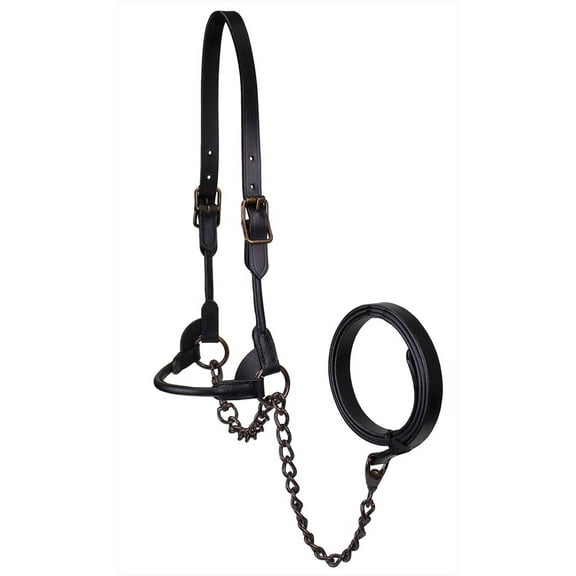 Derby Originals L Leather Cattle Show Horse Halters, Black