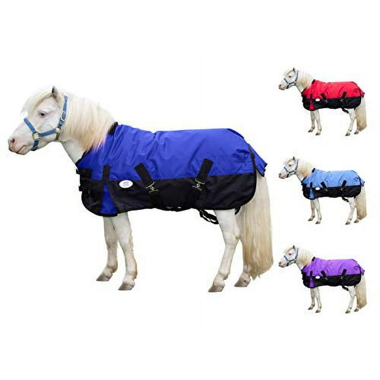 Derby Originals Classic 600D Winter Mini Horse Pony Turnout
