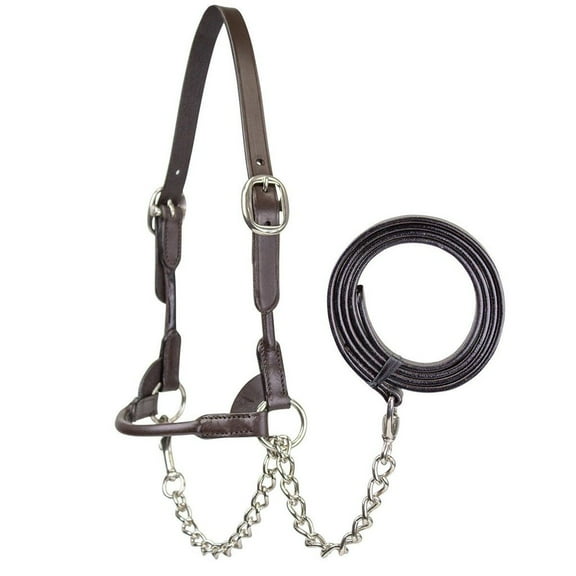 Derby Originals New and Improved Premium Round Rolled Leather Cattle Show Halter with Matching Chain Lead