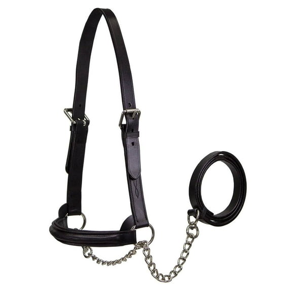 Derby Originals Premium Raised Padded Fancy Stitch Leather Cattle Show Halter with Matching Chain Lead