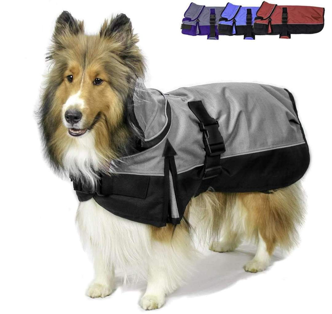 Derby originals dog coat hotsell