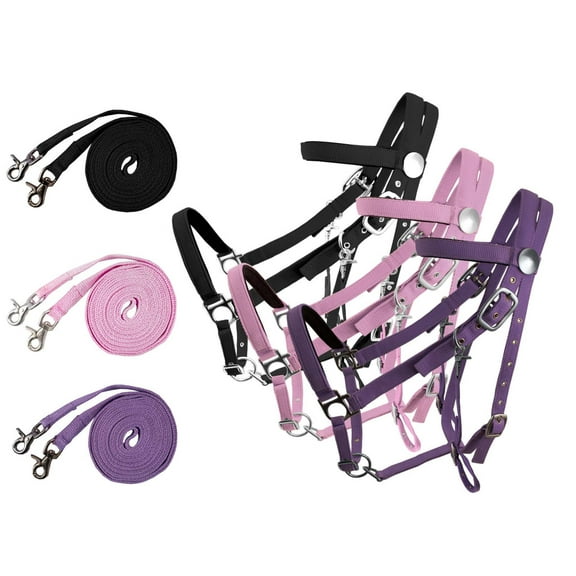 Derby Padded Nylon Halter Bridle Combo With Reins Plain