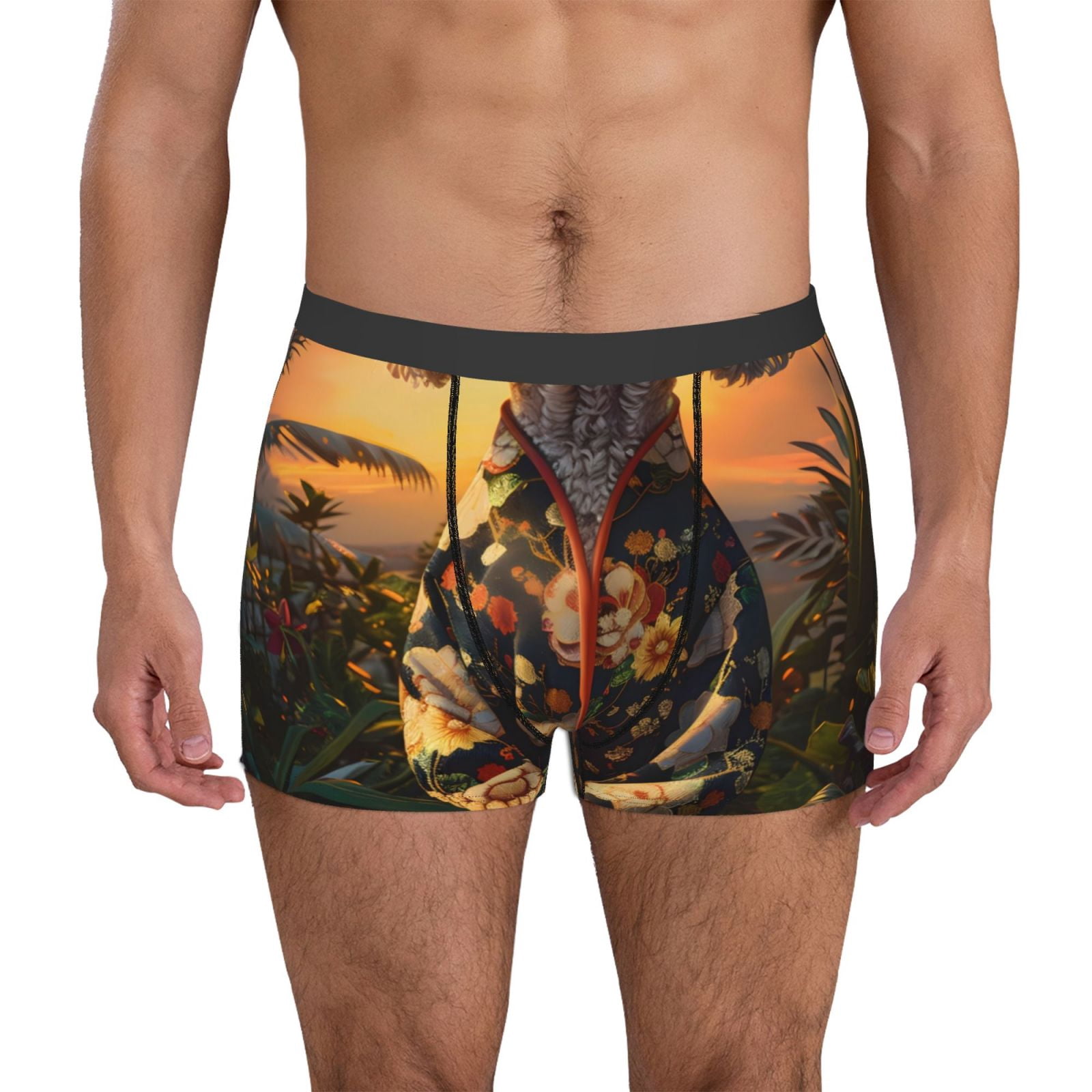 Mid Rise Boxers Derioi Flower Field Poodle Pattern Men' Soft Mid-Rise Boxer Briefs Soft ...