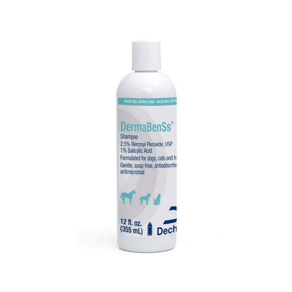 DermaBenSs Shampoo for Dogs  Cats and Horses  12 fl oz