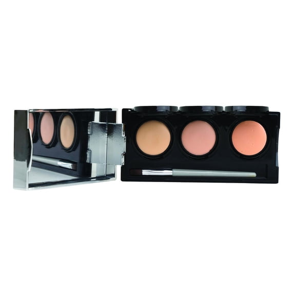 Dermaflage Pro Concealer Palette - Full Coverage Concealer Palette, Waterproof Concealer Cream, 3 Colors + Brush - LIGHT