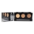 thumbnail image 1 of Dermaflage Pro Concealer Palette - TAN, 1 of 3