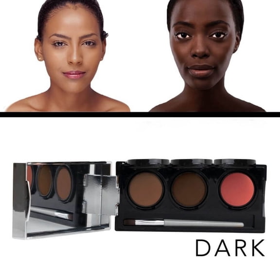 Dermaflage Professional Tattoo Cover Up Concealer Makeup, Full Coverage Matte, Waterproof