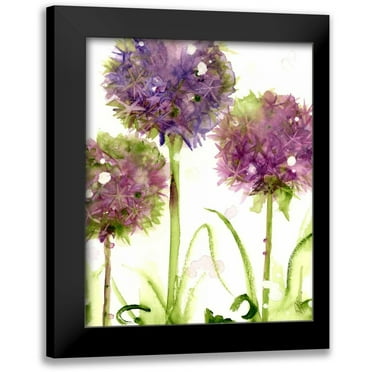 Derman, Dawn 12x14 Black Modern Framed Museum Art Print Titled - Alliums