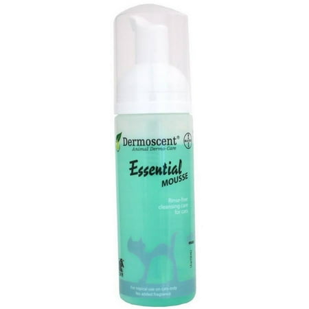 dermoscent essential mousse for cats (5 fl oz)