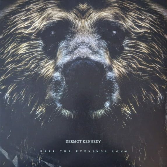 Keep the Evenings Long (LP) by Dermot Kennedy