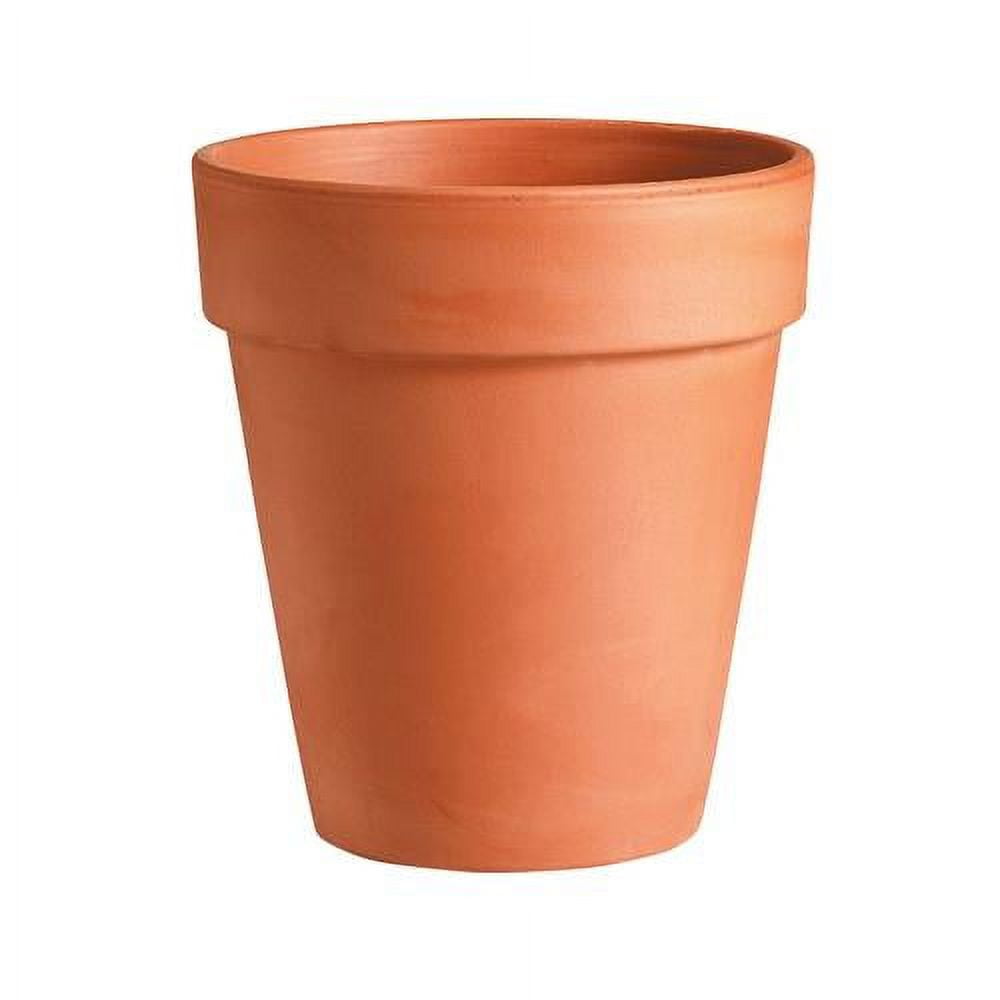 Deroma 12 Packs 7.1" TC Tall Pot
