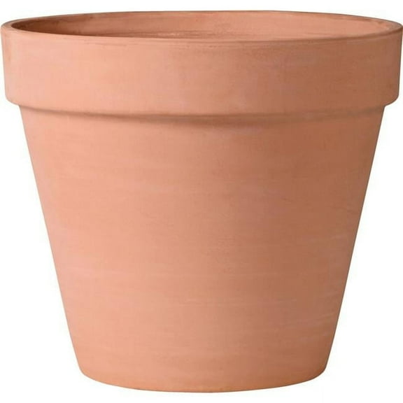 Deroma 7.49 in. H X 8 in. D Clay Standard Planter Blush