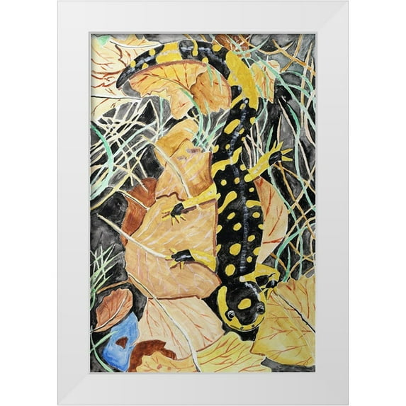 Derr, Wynn 13x18 White Modern Wood Framed Museum Art Print Titled - California Tiger Salamander