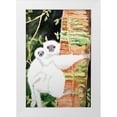 thumbnail image 1 of Derr, Wynn 13x18 White Modern Wood Framed Museum Art Print Titled - Silky Sifaka Duo, 1 of 4