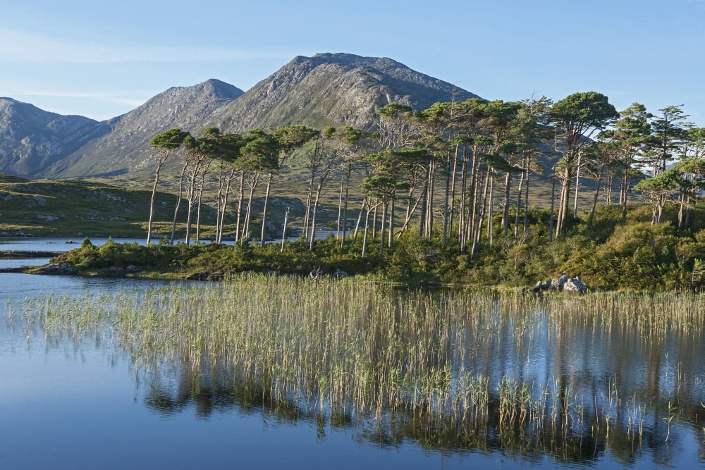 Derryclare Lough Connemara County Galway Ireland Canvas Art - Carl Bruemmer Design Pics (19 x 12)