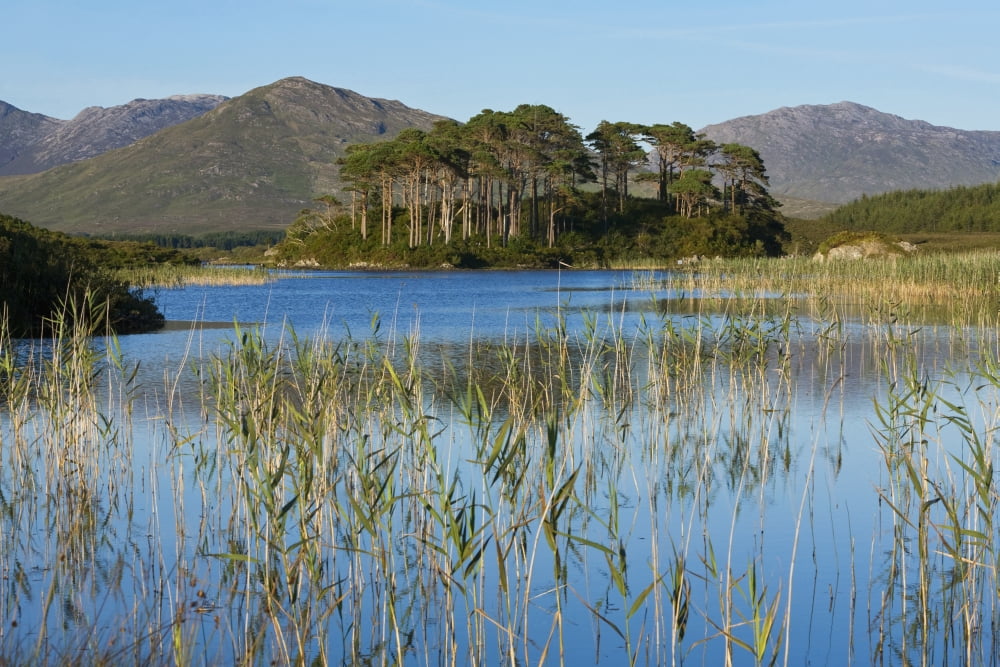 Derryclare Lough Connemara County Galway Ireland Canvas Art - Carl Bruemmer Design Pics (19 x 12)